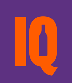 IQ Logo